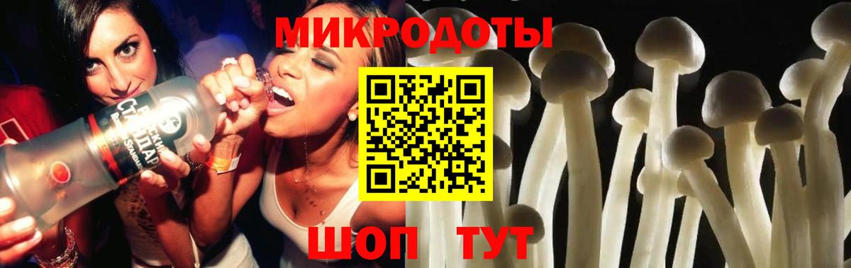 Псилоцибиновые грибы мухоморы Михайловка